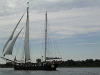Hanse sail 2010.SANY3786